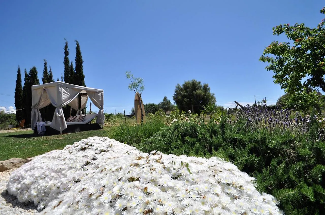 Finca Son Rubi A Los Pies De Serra Tramuntana Selva  Spanien