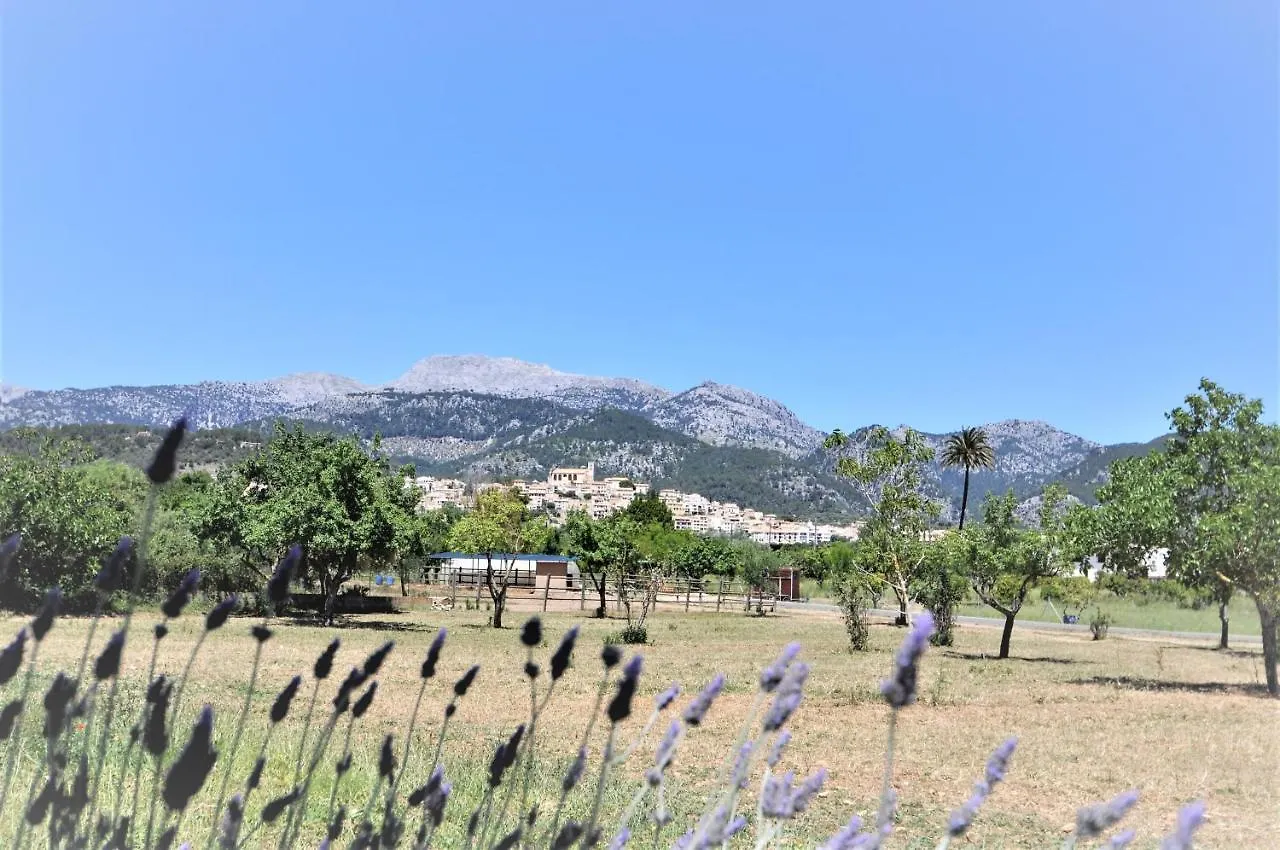 Finca Son Rubi A Los Pies De Serra Tramuntana Selva  0*, Selva (Mallorca)